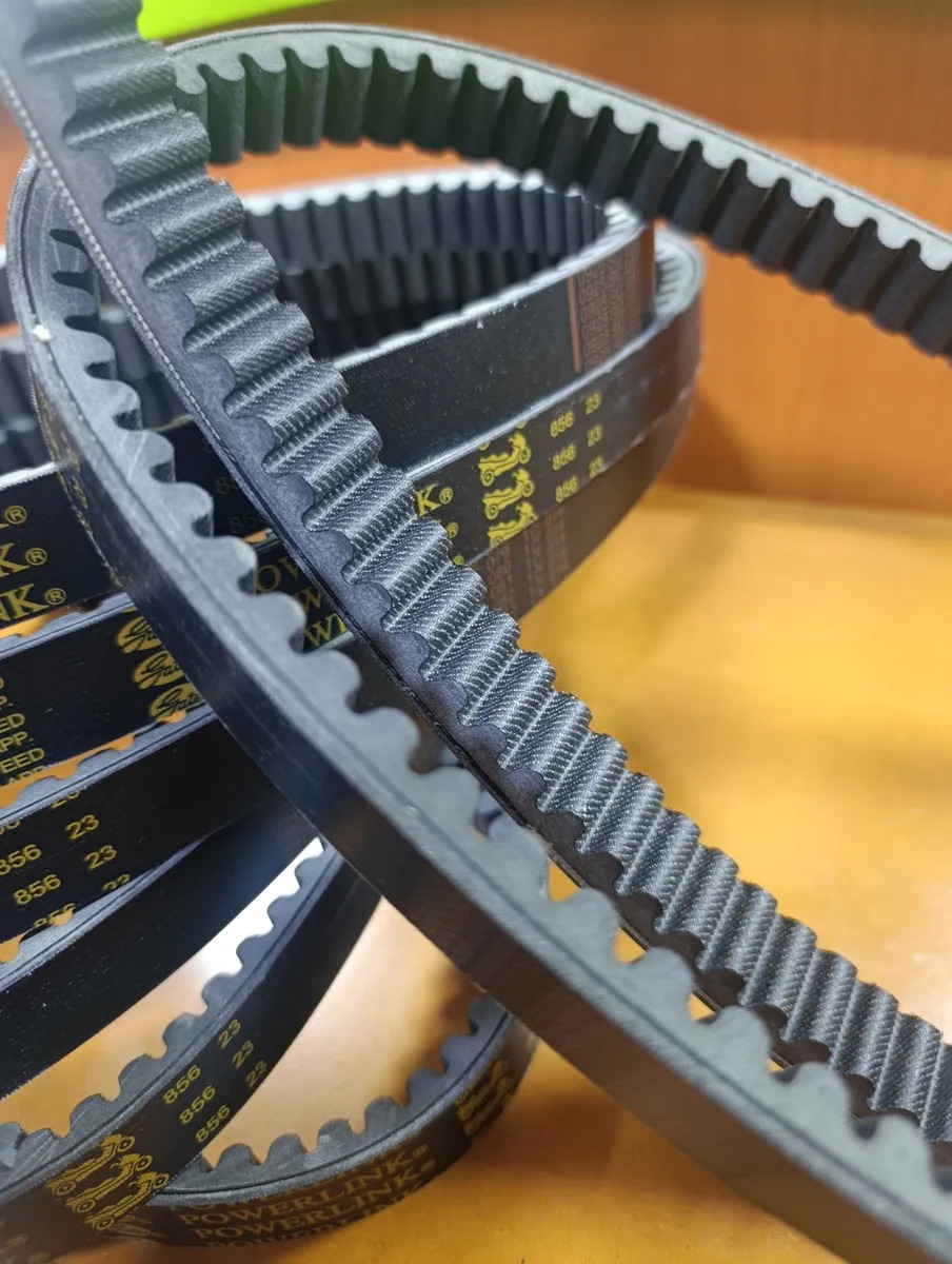 Correa 842 Matrix 150 gy6Unico - Imagen 4